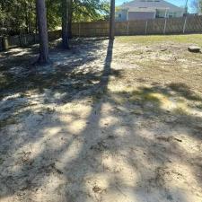 Yard-Overgrown-Reclaim-Your-Paradise-Zion-Landscaping-Services-LLC-in-Destin-FL 1